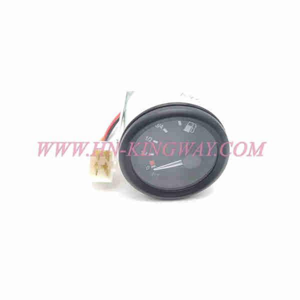 A250209000005 FUEL GAUGE (0～1)-DC24-IP20