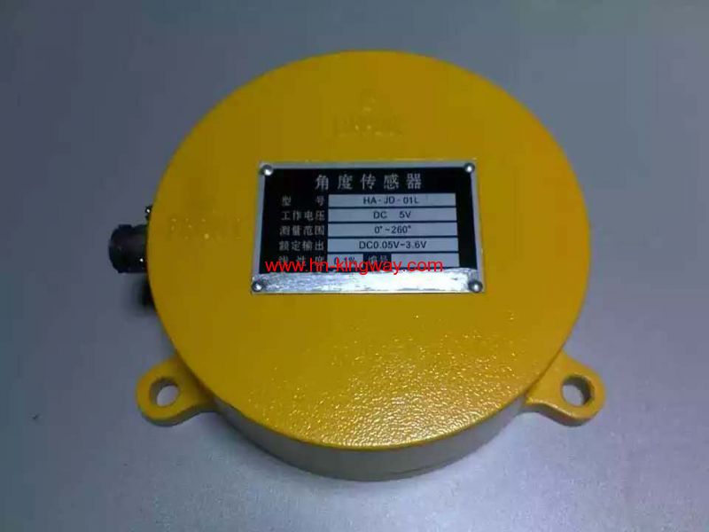 Angle Sensor