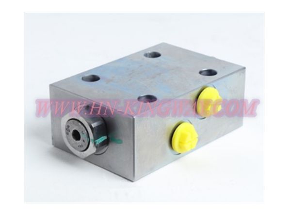 B222200000021 BI-DIRECTIONAL HYDRAULIC LOCK ST0389