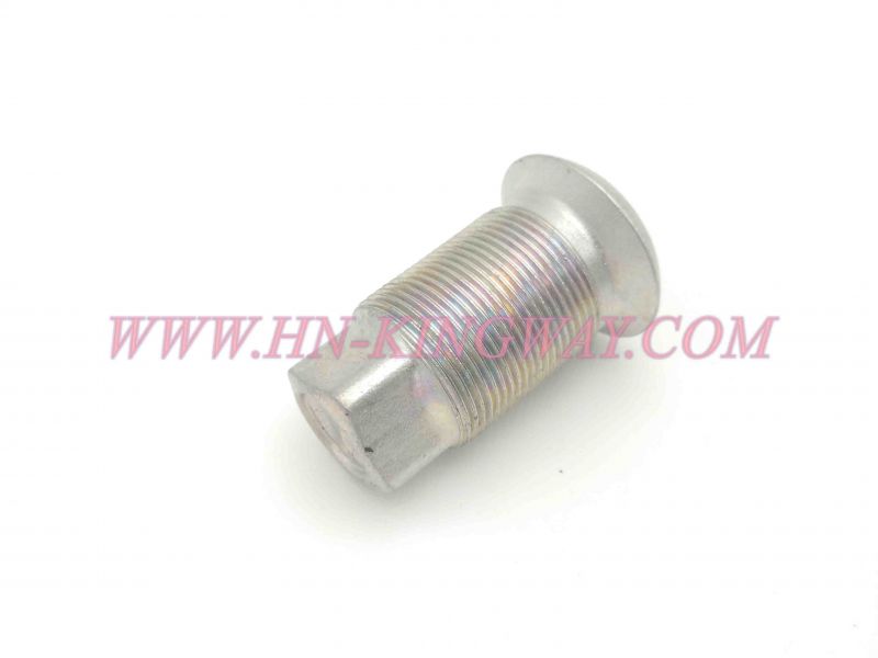 25784-42101 Nut Hub Inner