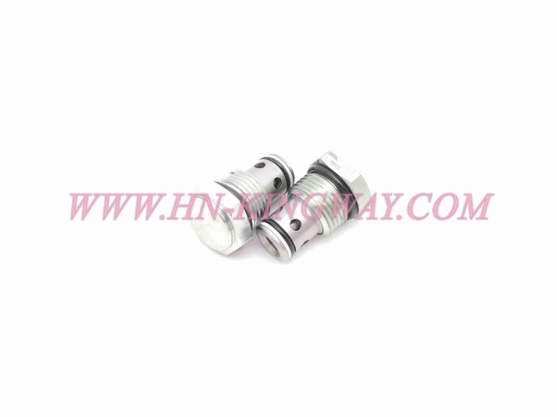 B220401000045 CHECK VALVE CV1-10-P-O-30