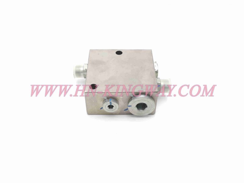 10138470 VALVE GP THROTTLE ONE-WAY QY25C.12.1.5