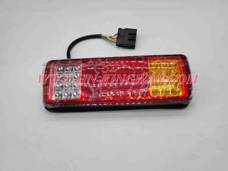 803691501 Rear combination lamp (with Delphi connector)