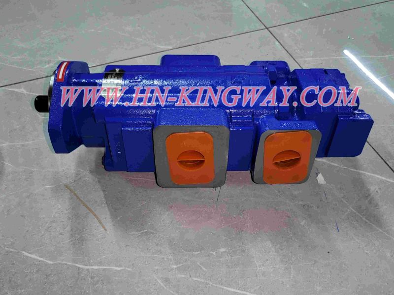 60188225 three-gear pump set