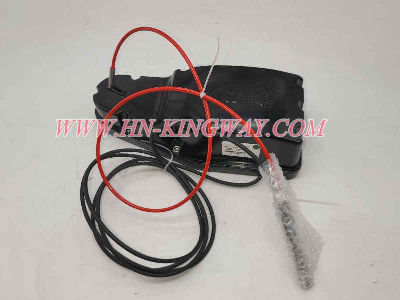 165907925PROTECTION SENSOR