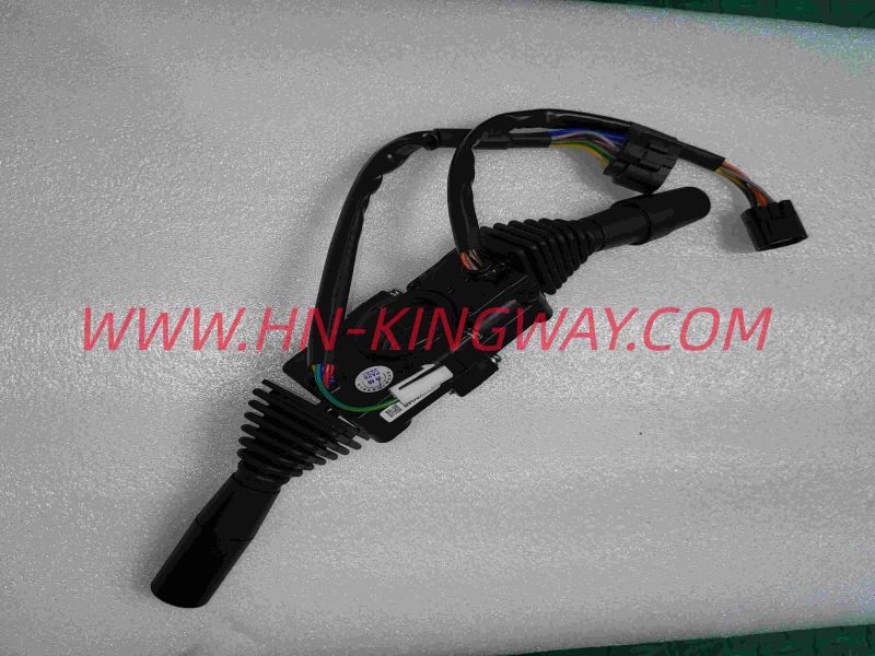 Combination switch D09 JK804B